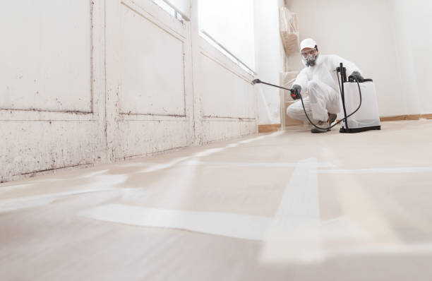 24/7 Emergency Attic Mold Removal experts in Beallsville, MD